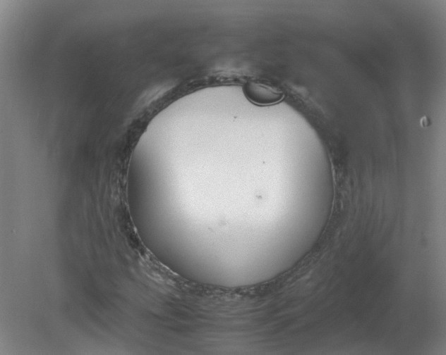 X0000079321207200612011833