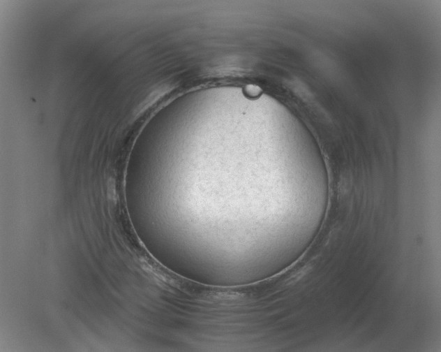 X0000079321209200612011833