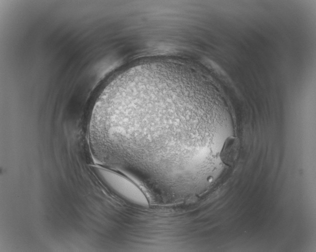 X0000079321210200612011833