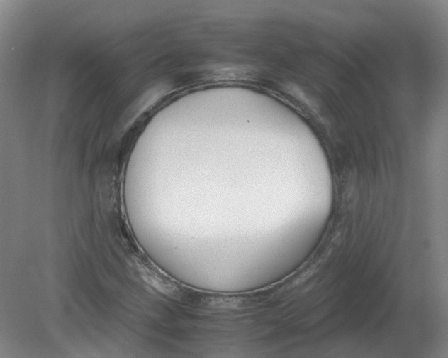 X0000079321211200612011833