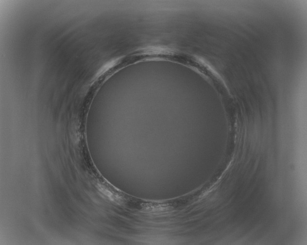 X0000079321213200612011833