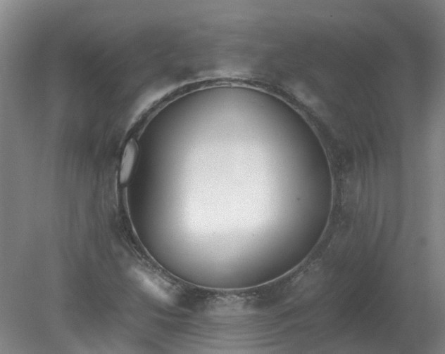 X0000079321214200612011833