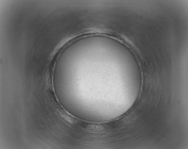 X0000079321215200612011833