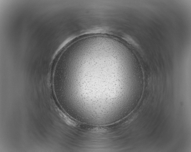 X0000079321216200612011833