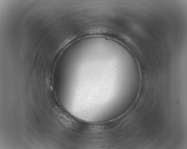 X0000079321217200612011833