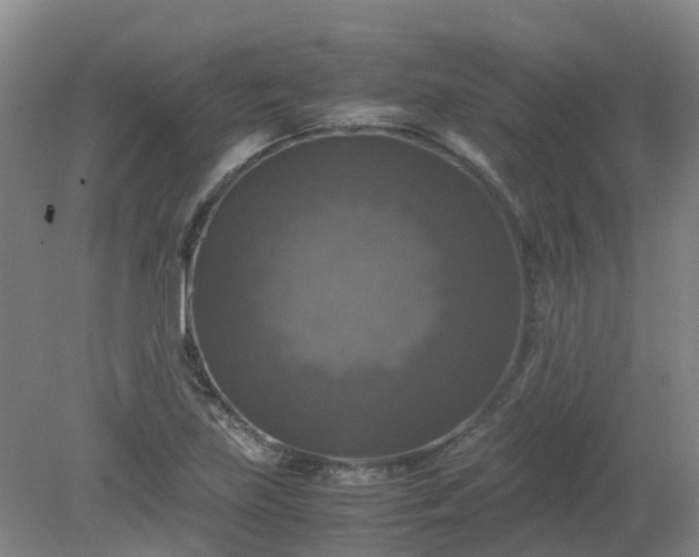 X0000079321219200612011833