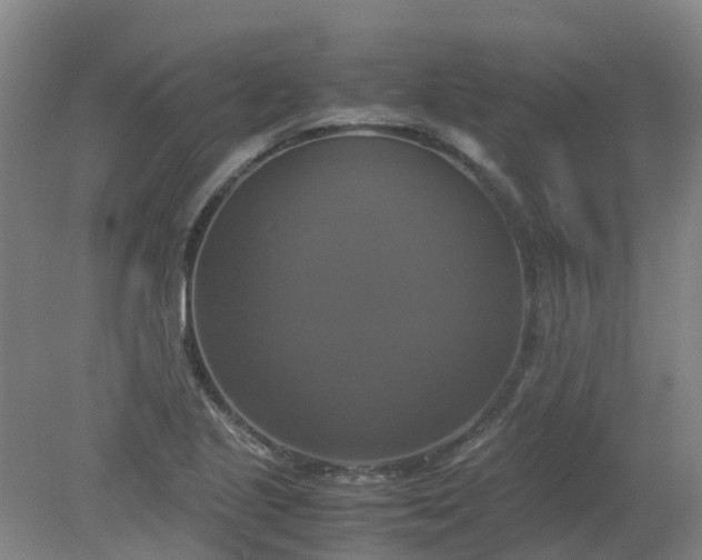 X0000079321221200612011833