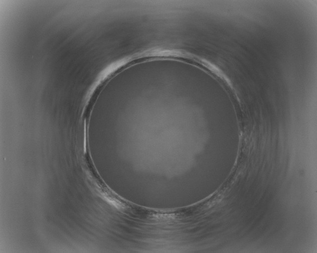 X0000079321223200612011833