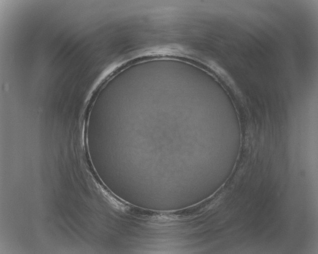 X0000079321224200612011833