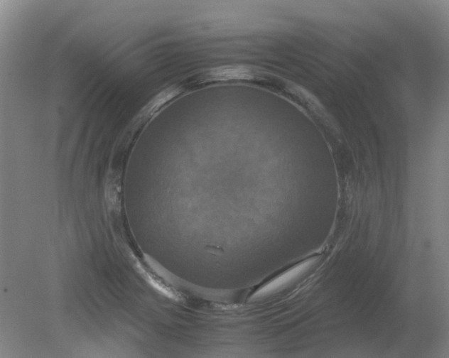 X0000079321225200612011833