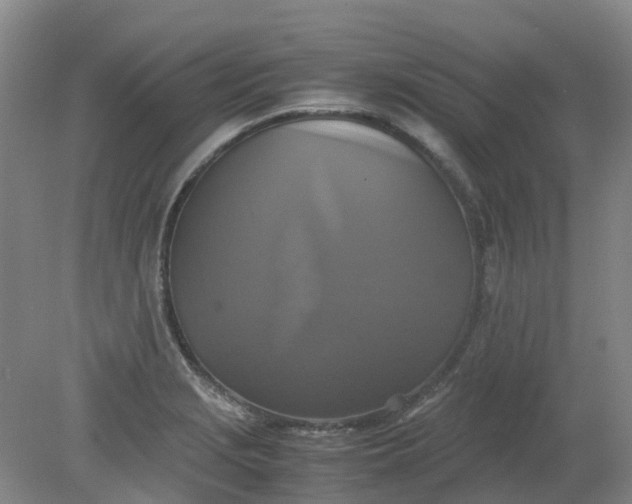 X0000079321229200612011834