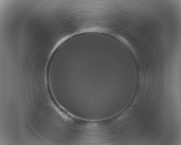 X0000079321230200612011834