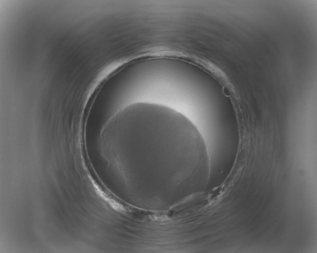 X0000079321231200612011834