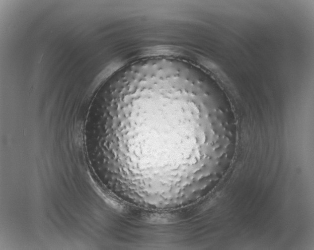 X0000079321233200612011834