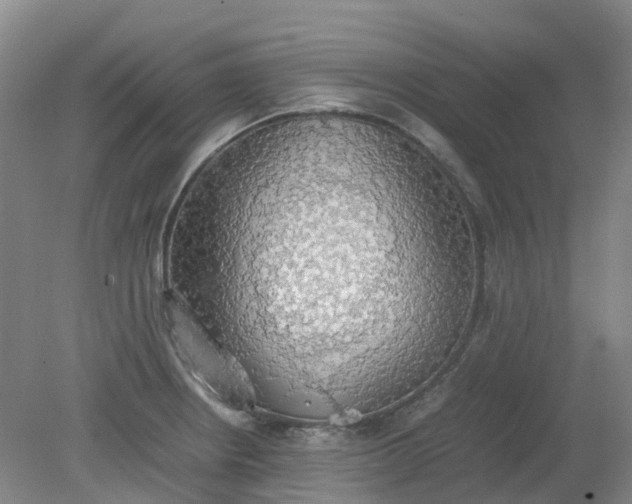 X0000079321234200612011834