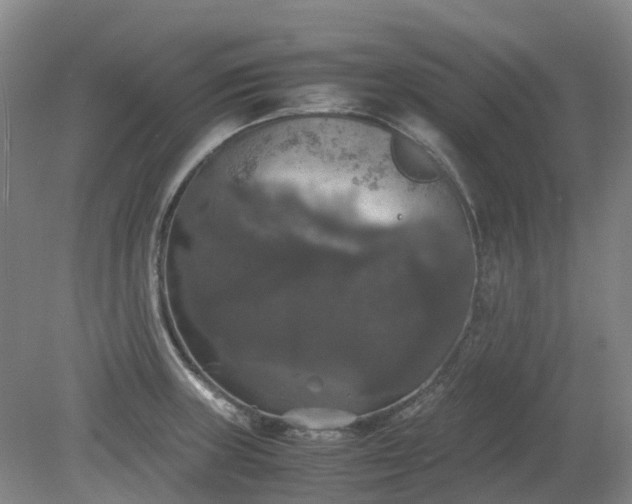 X0000079321235200612011834