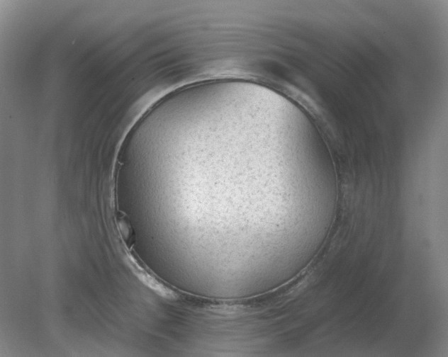 X0000079321236200612011834