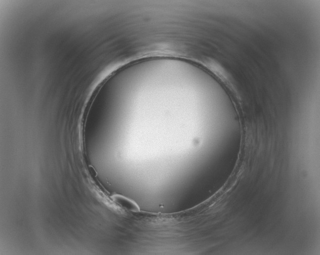 X0000079321238200612011834