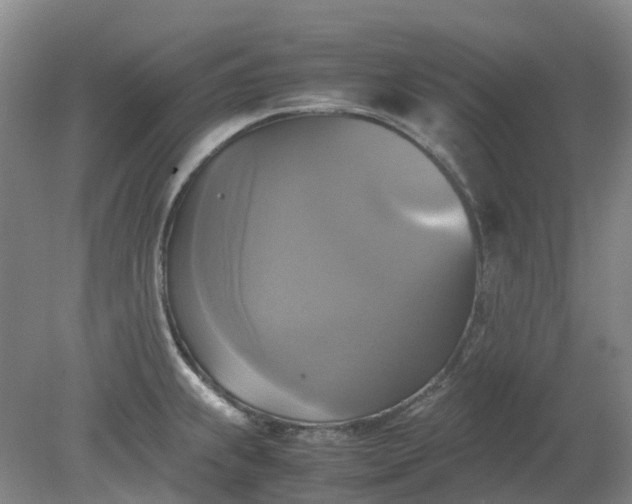 X0000079321239200612011834