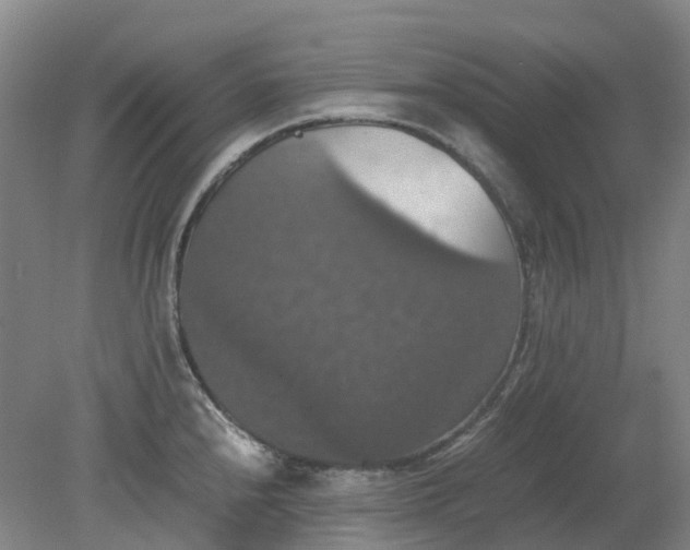 X0000079321240200612011834