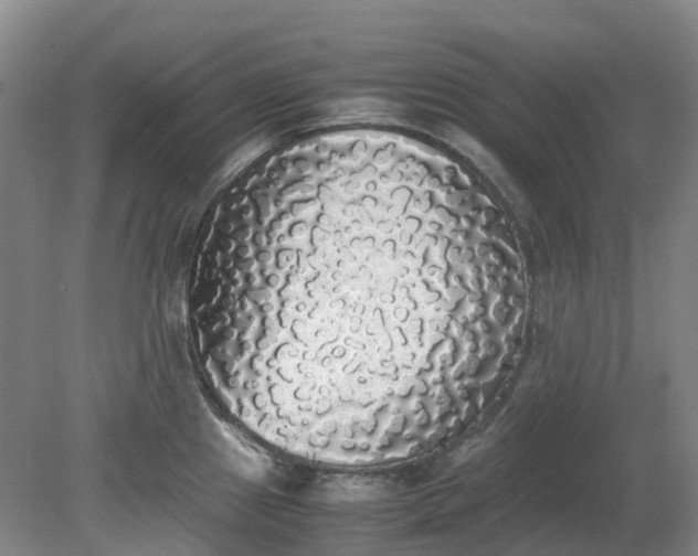 X0000079321241200612011834