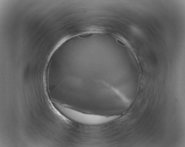 X0000079321243200612011834