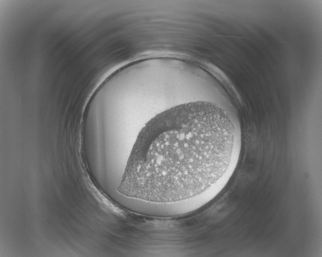 X0000079321244200612011834