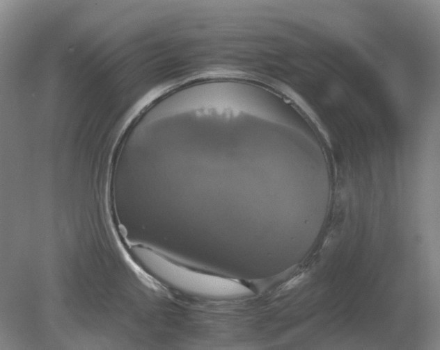 X0000079321245200612011834