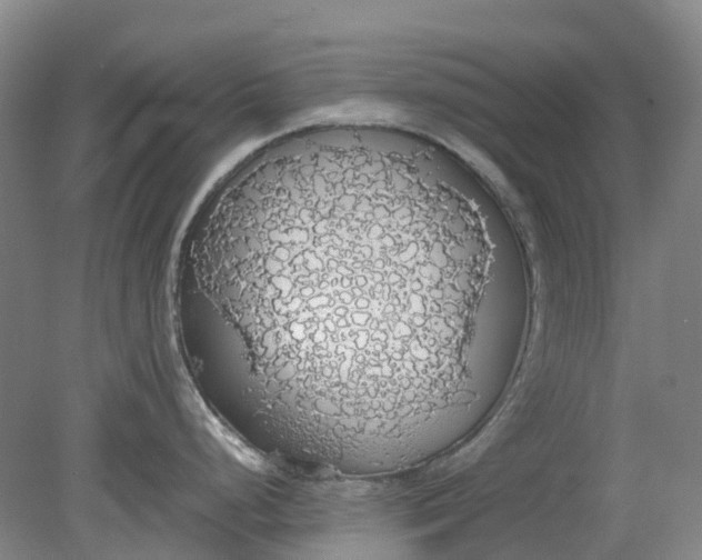 X0000079321248200612011834