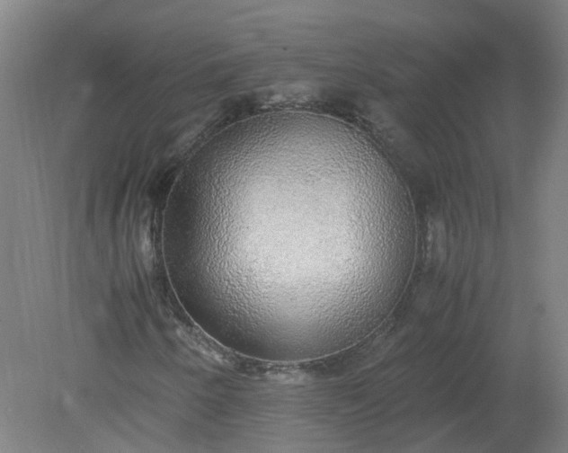 X0000079321250200612011833