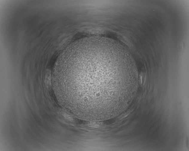 X0000079321251200612011833