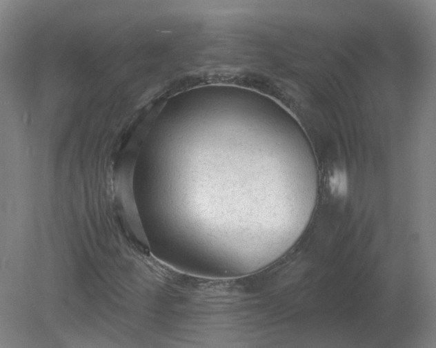 X0000079321252200612011833