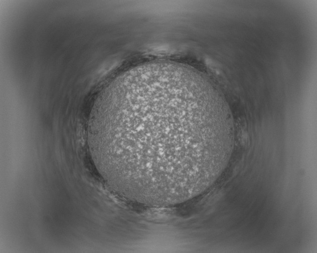 X0000079321253200612011833