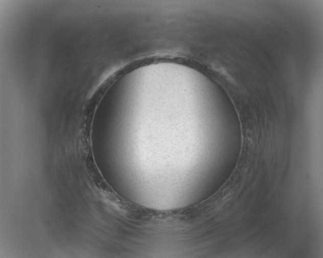 X0000079321256200612011833