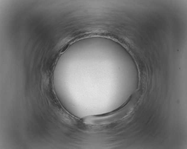 X0000079321257200612011833