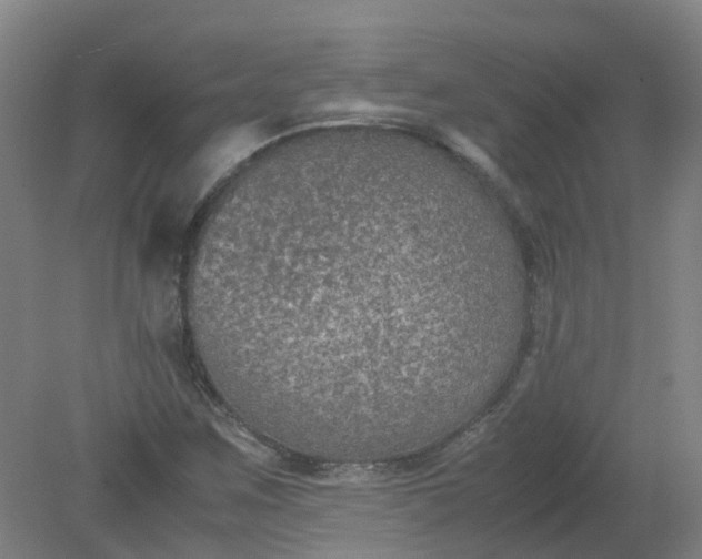 X0000079321259200612011833