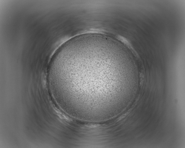 X0000079321260200612011833