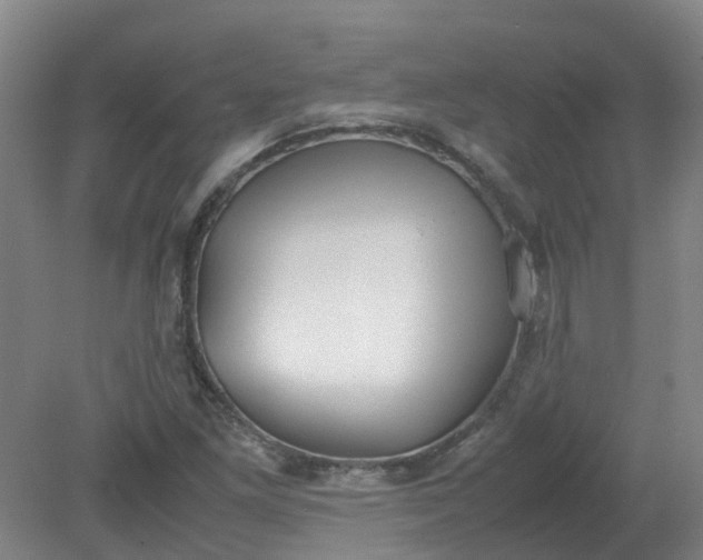 X0000079321261200612011833