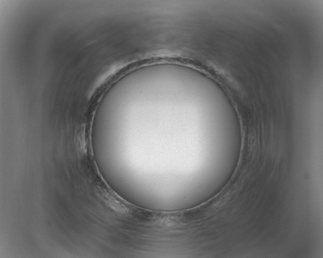 X0000079321262200612011833