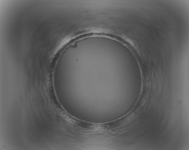 X0000079321263200612011833