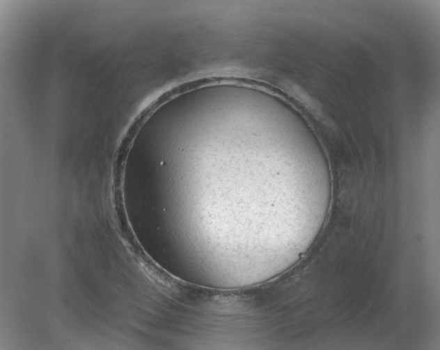 X0000079321264200612011833