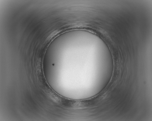 X0000079321265200612011833