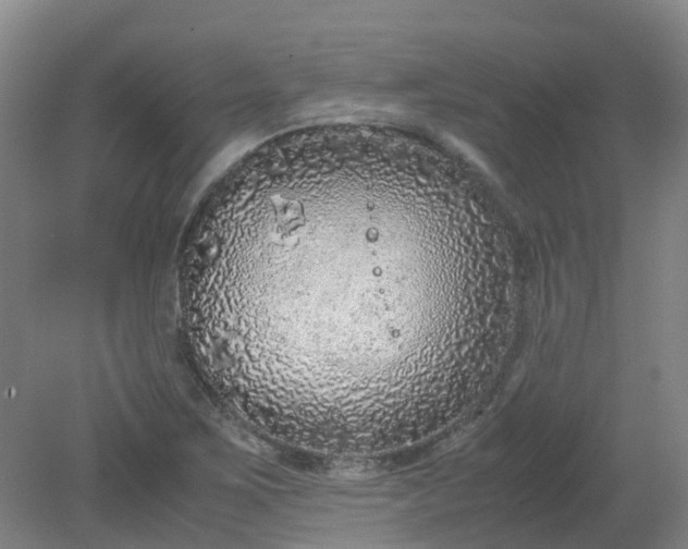 X0000079321267200612011833