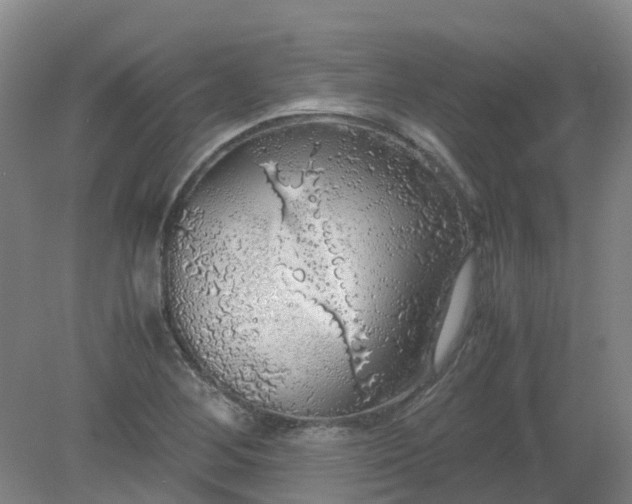 X0000079321268200612011833