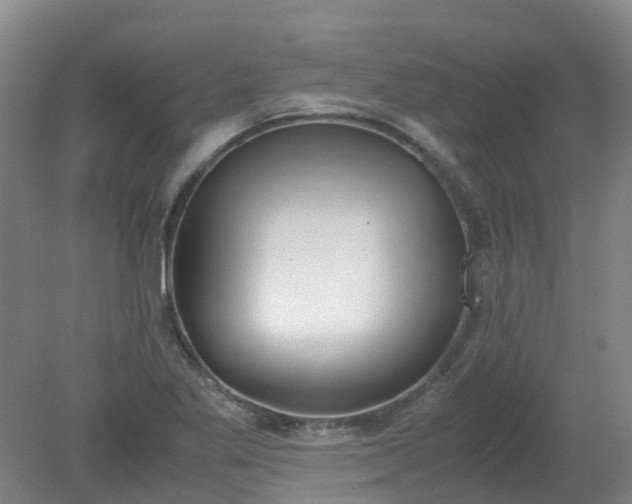 X0000079321269200612011833