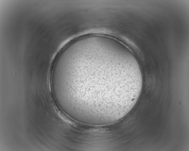 X0000079321272200612011833