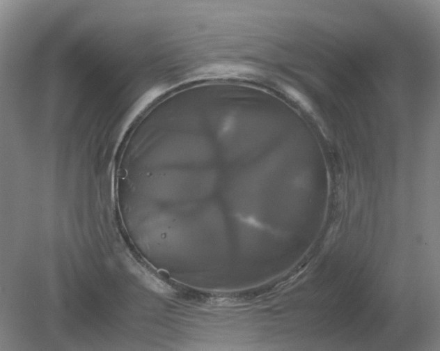 X0000079321275200612011833