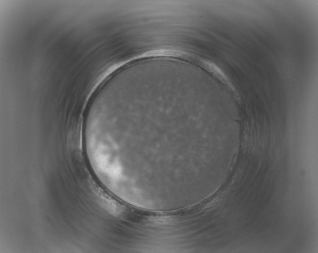 X0000079321276200612011833