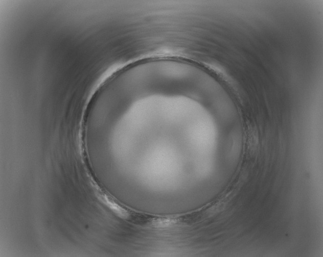 X0000079321278200612011833