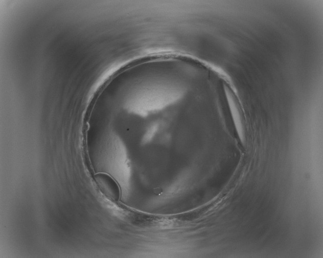 X0000079321279200612011833